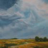 Gratitude - Barb Johnson - Summer Storm